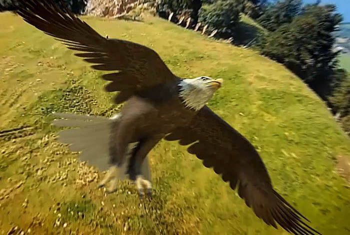 image 3D aigle pepsi expérience par Lagoon Studios animation 2D/3D et VFX